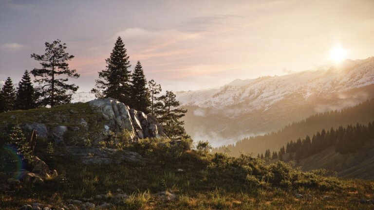 Berglandschaft bei Sonnenaufgang mit schneebedeckten Gipfeln, Kiefern, Felsen und Nebel in den Tälern unter einem teilweise bewölkten Himmel, gerendert mit Twinmotion 2025.2 Preview für atemberaubenden Realismus.